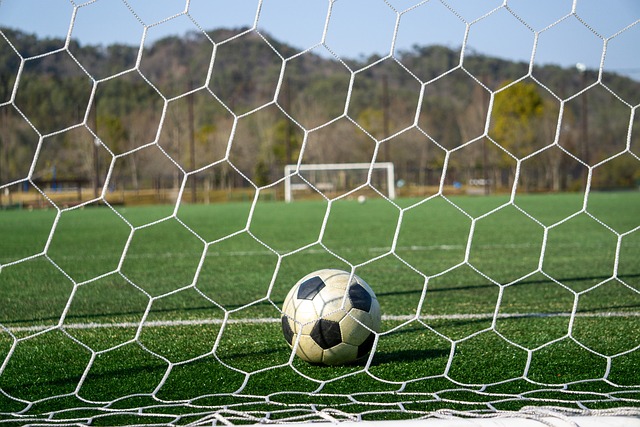 仍有望在未 仍有望在未