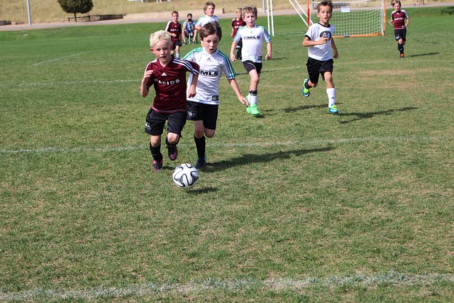 赛季的状态 赛季的状态